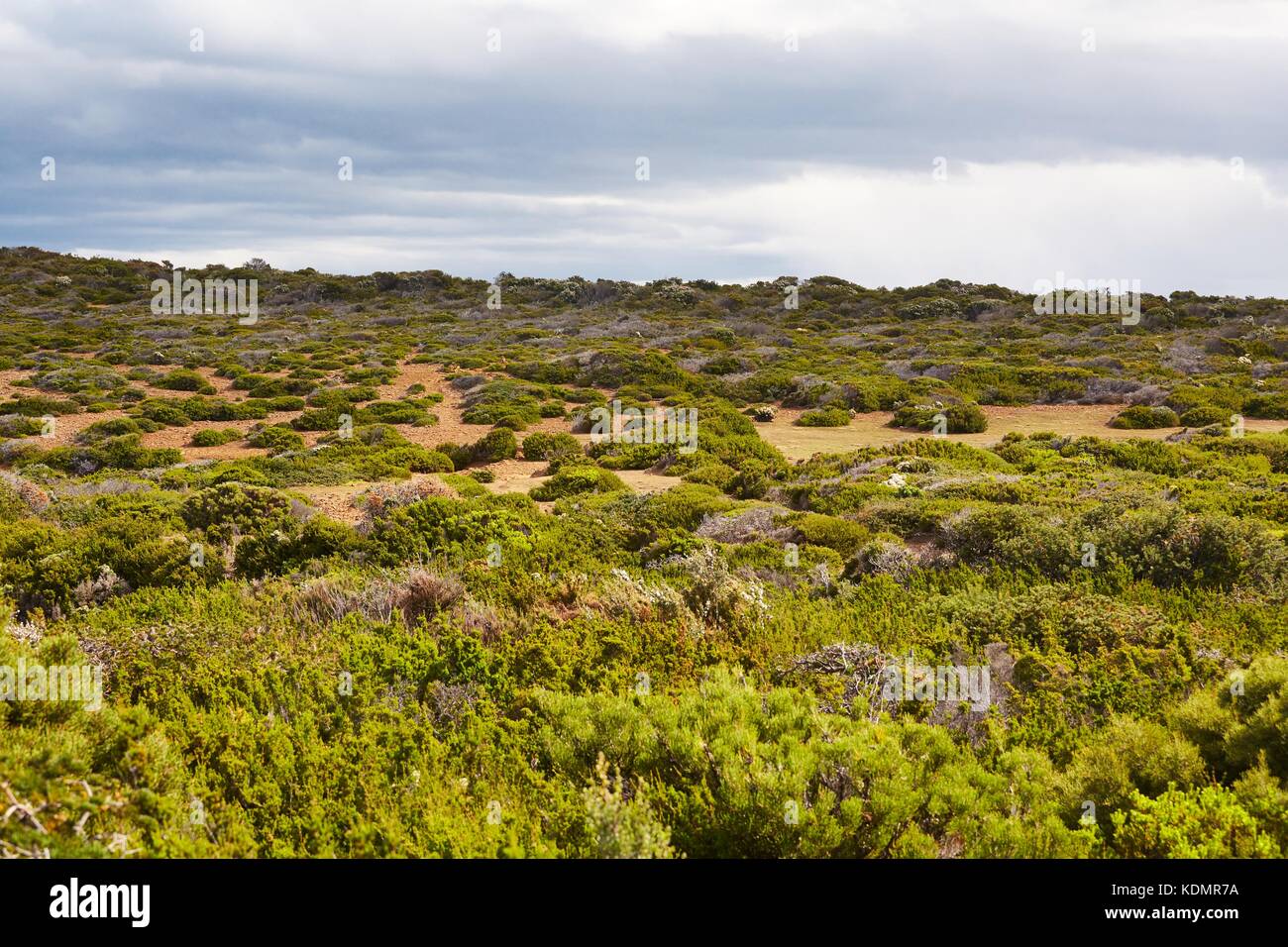 Landscape in Tasmania Stock Photo - Alamy