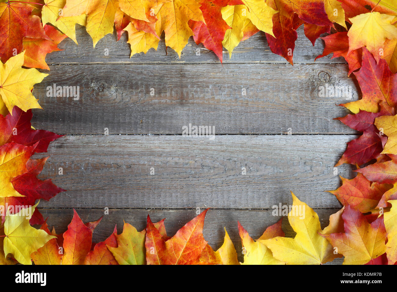 Autumn maple leaves frame over wooden background with copy space Stock ...