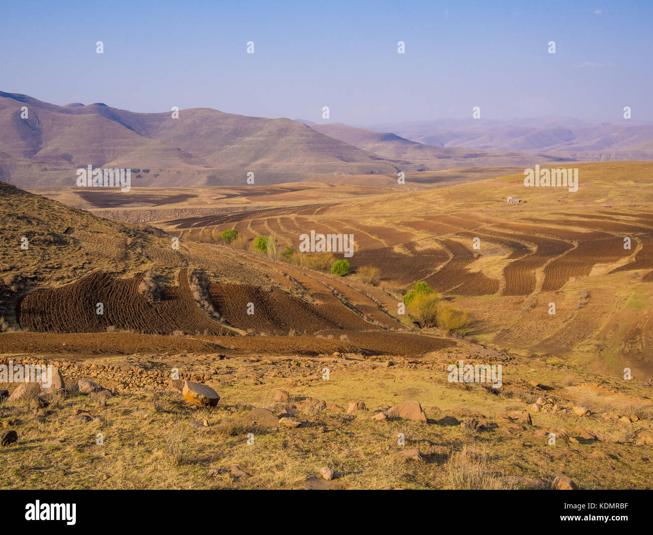 Dramatic and beautiful mountain landscape with terrassed fields during spring, Lesotho, Southern Africa Stock Photo