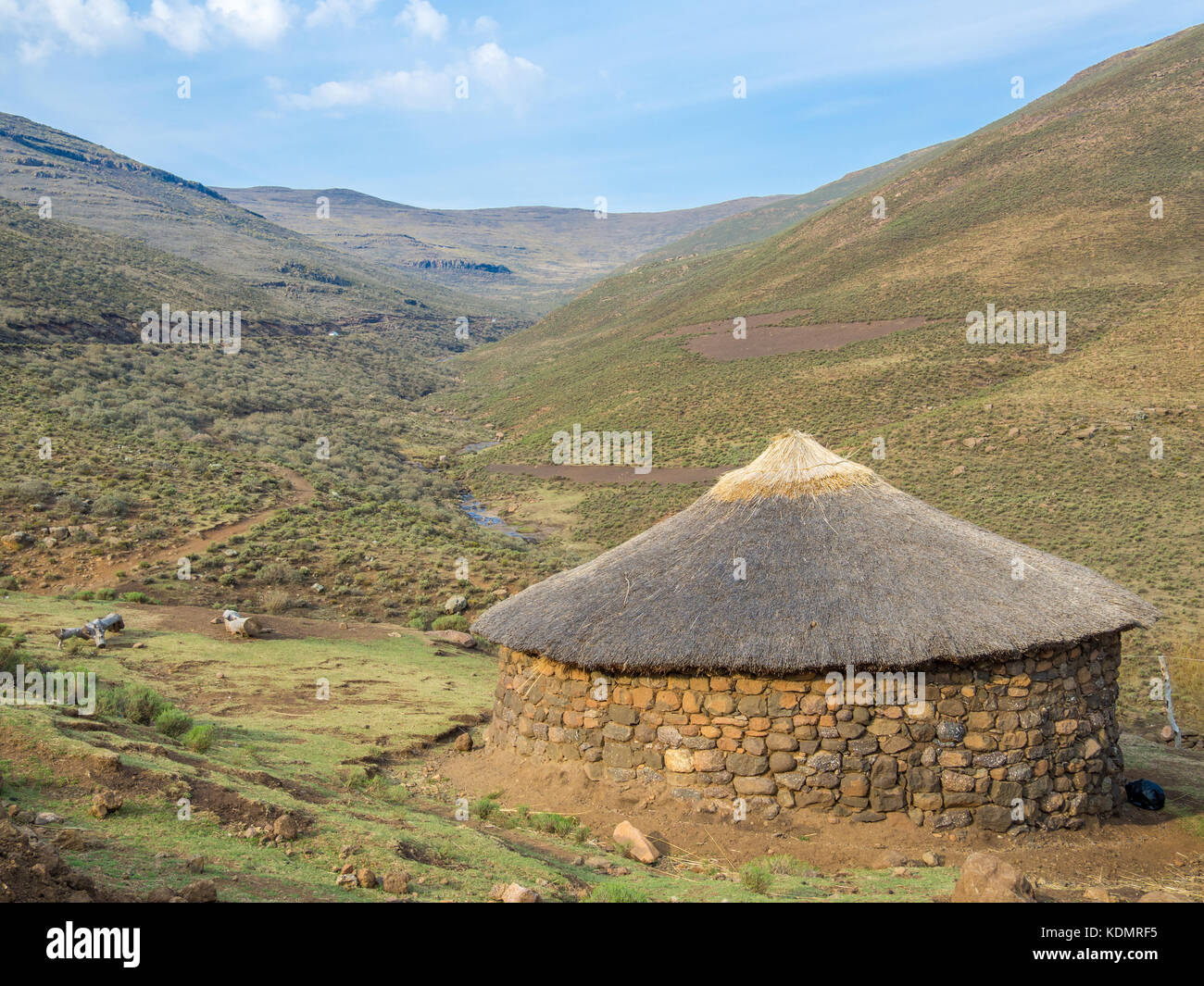 Traditional thatched stone round hut of the Basutho in the mountain highlands of Lesotho, Southern Africa Stock Photo