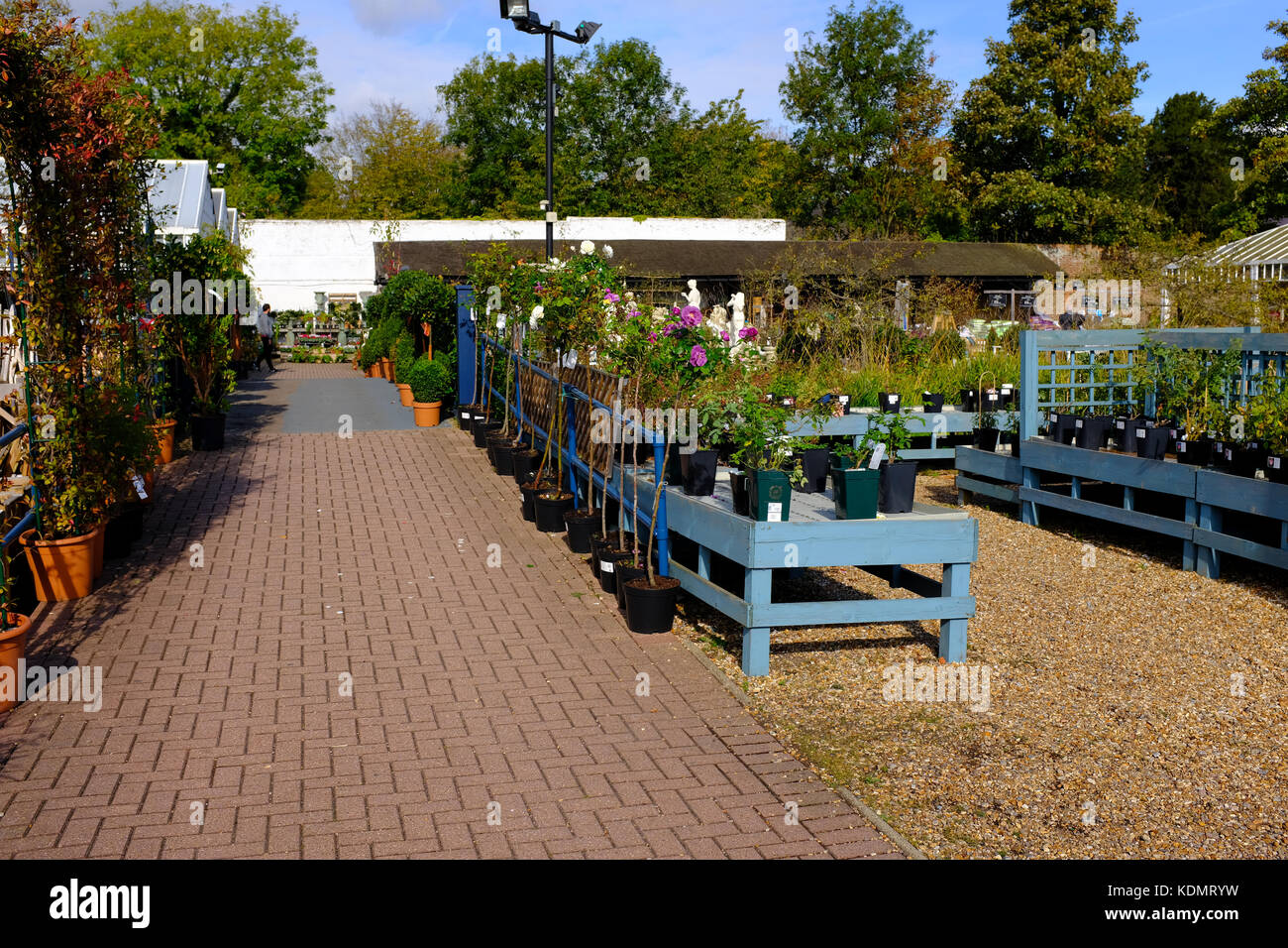 Garden Centre Displays High Resolution Stock Photography and Images - Alamy