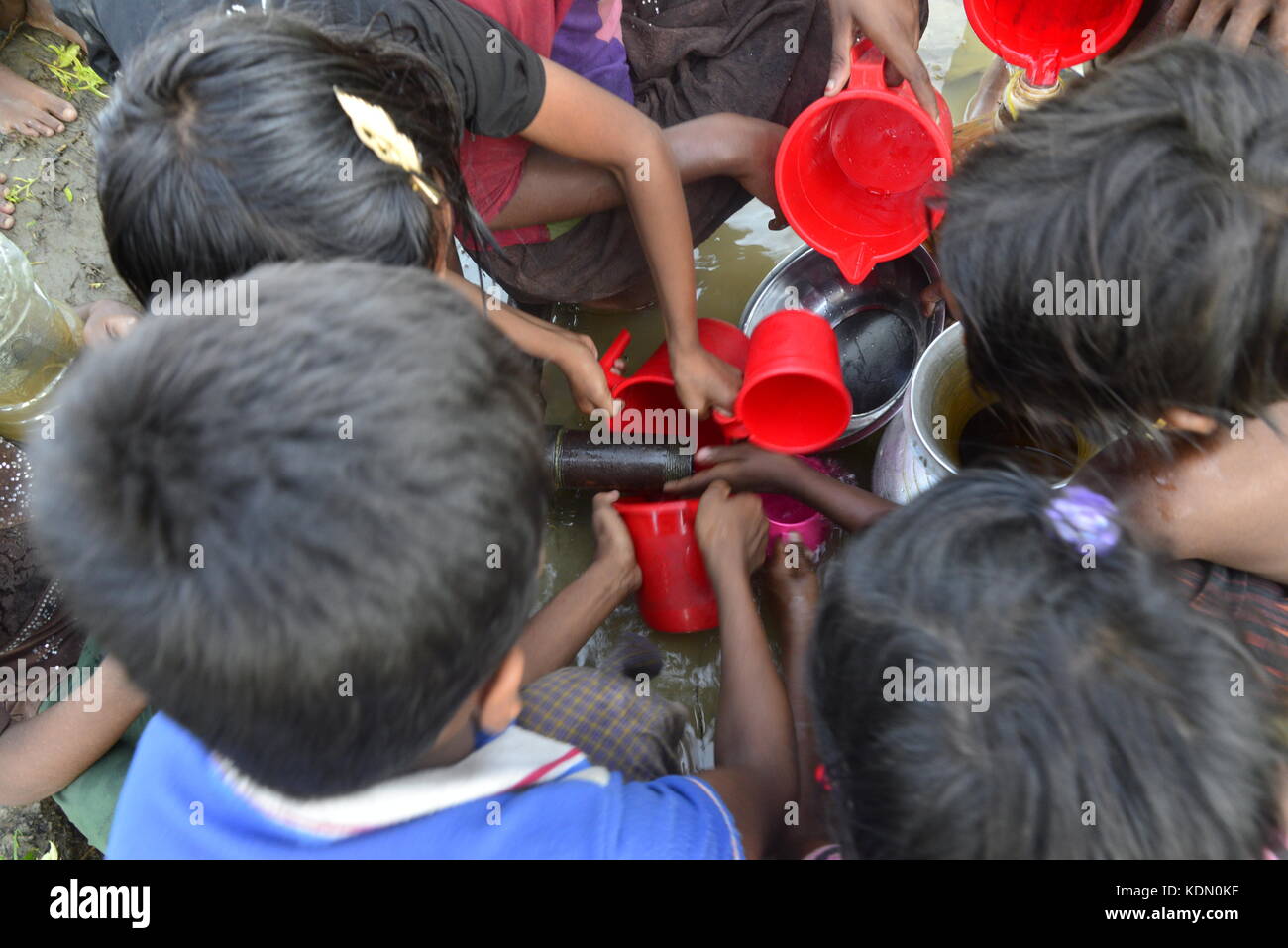Rohingya children are collects water from the paddy field at the ...