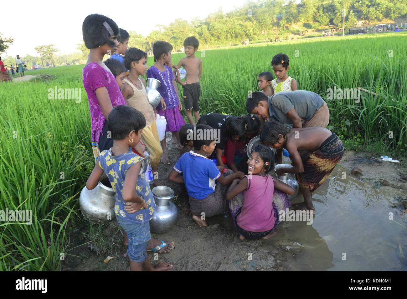 Rohingya children are collects water from the paddy field at the ...