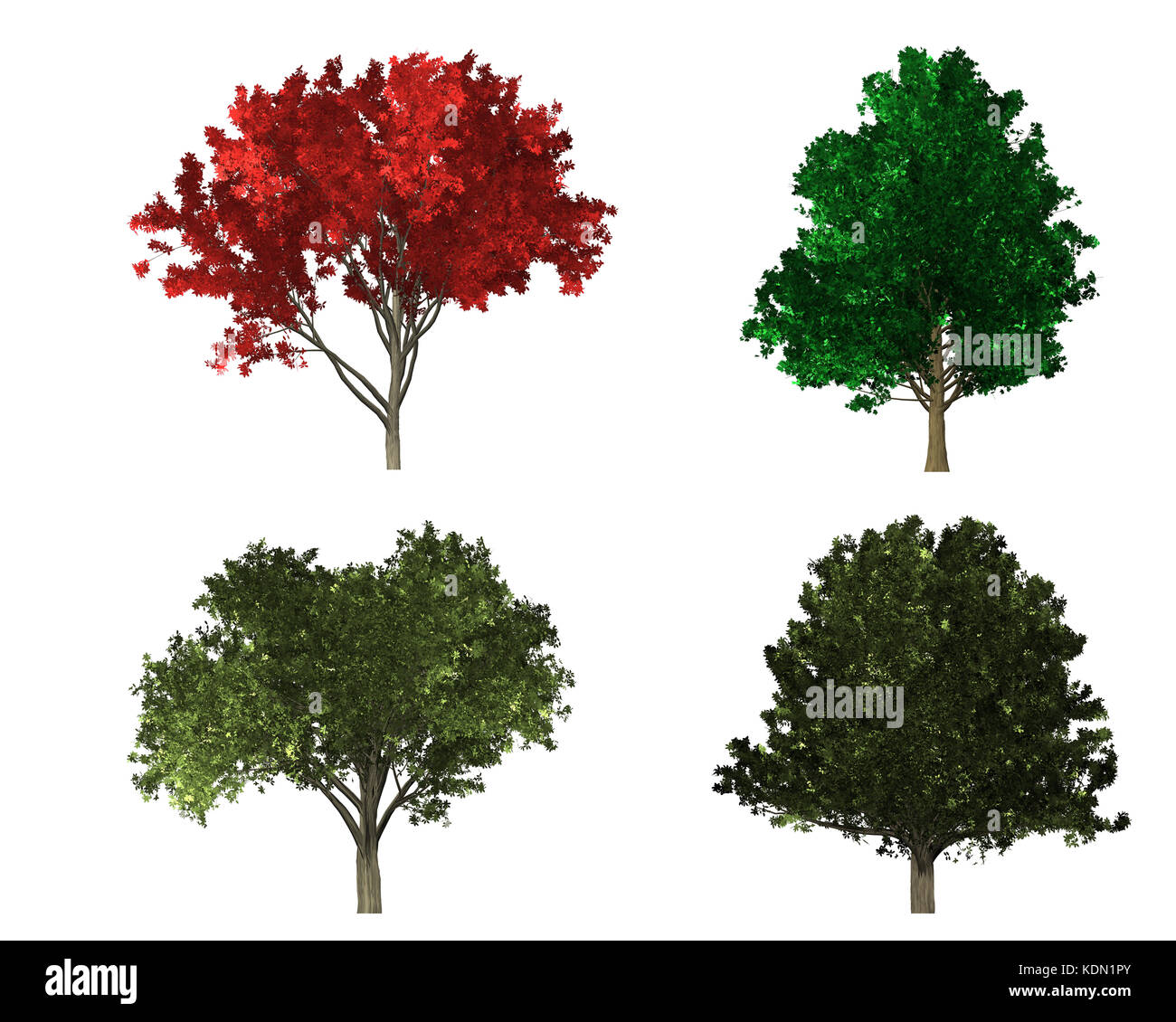 Four poplar trees hires stock photography and images Alamy