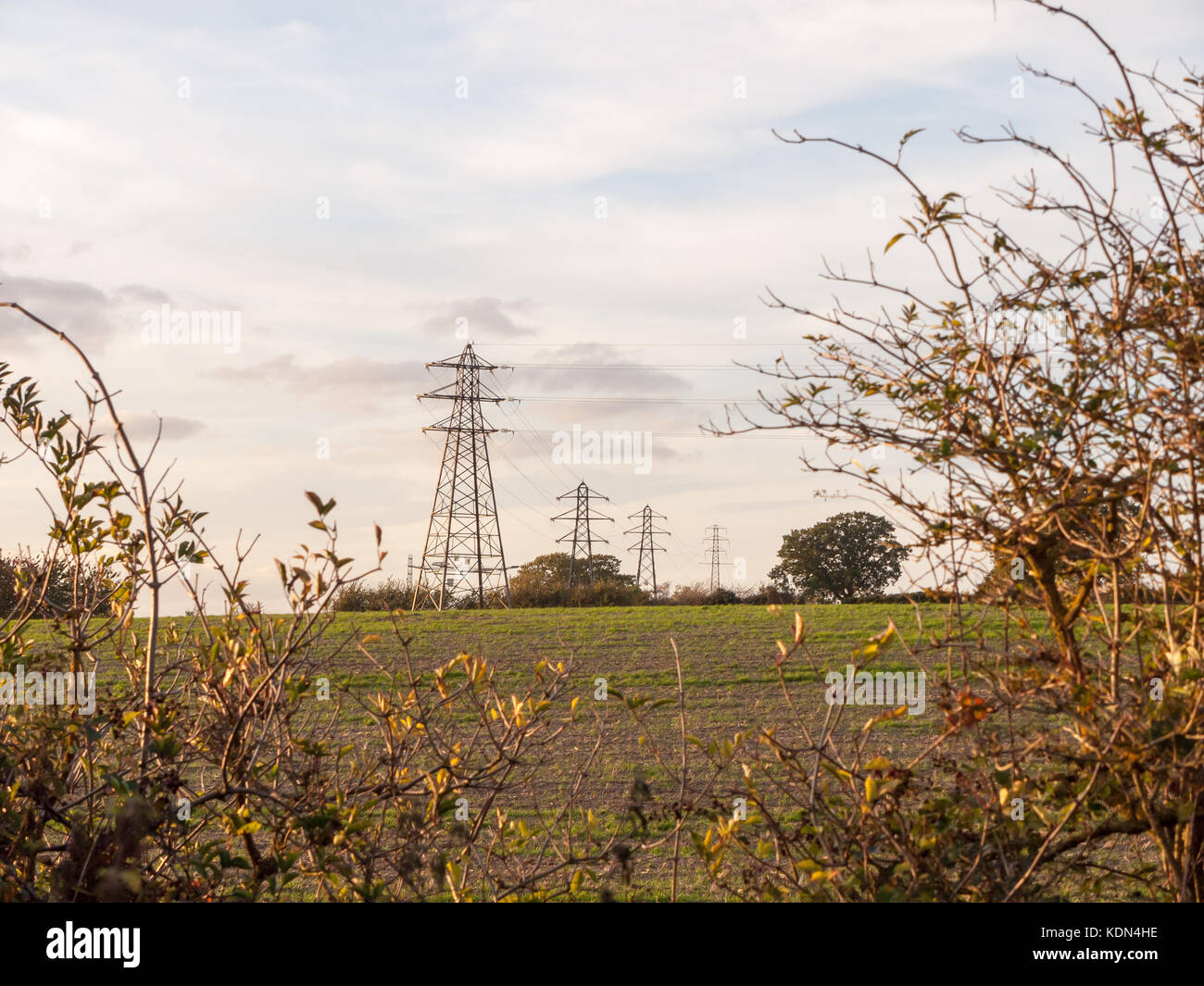electricity pylons row of far distance field farm agriculture; Essex