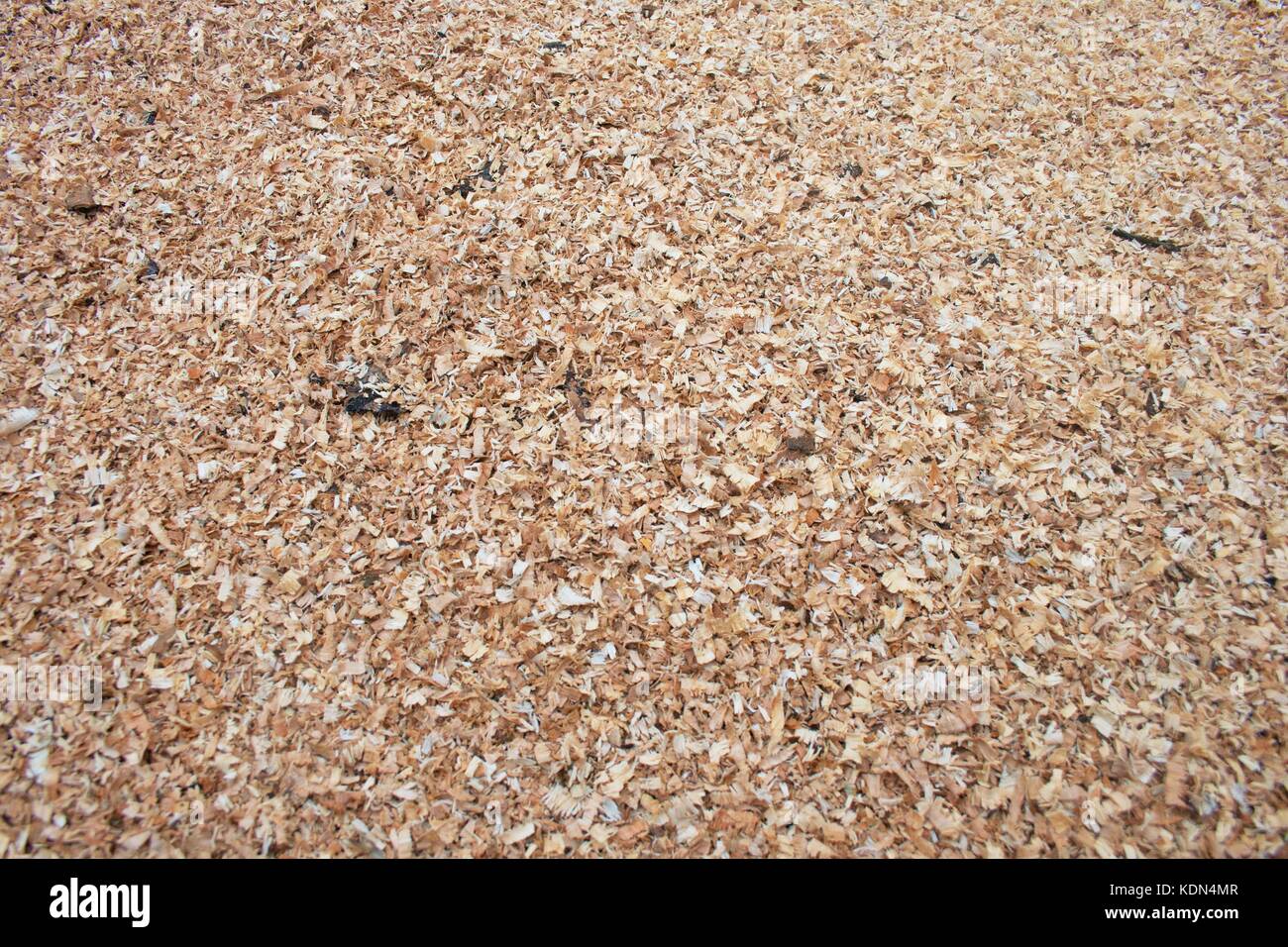 Sawdust floor hires stock photography and images Alamy