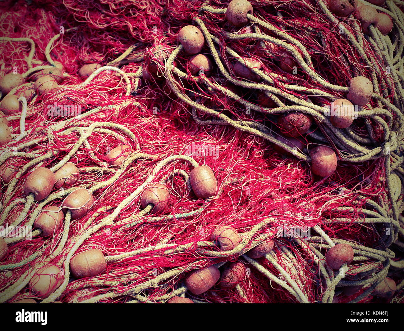 Mesh fishnet hi-res stock photography and images - Page 35 - Alamy