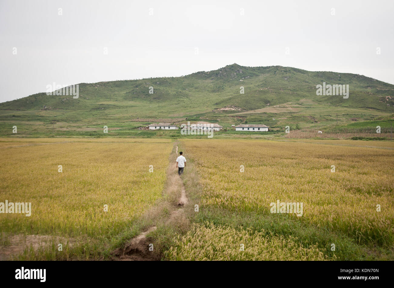 Campagne Nord coréenne le 7 octobre 2012. Country side in North korea the 7 of October. Stock Photo