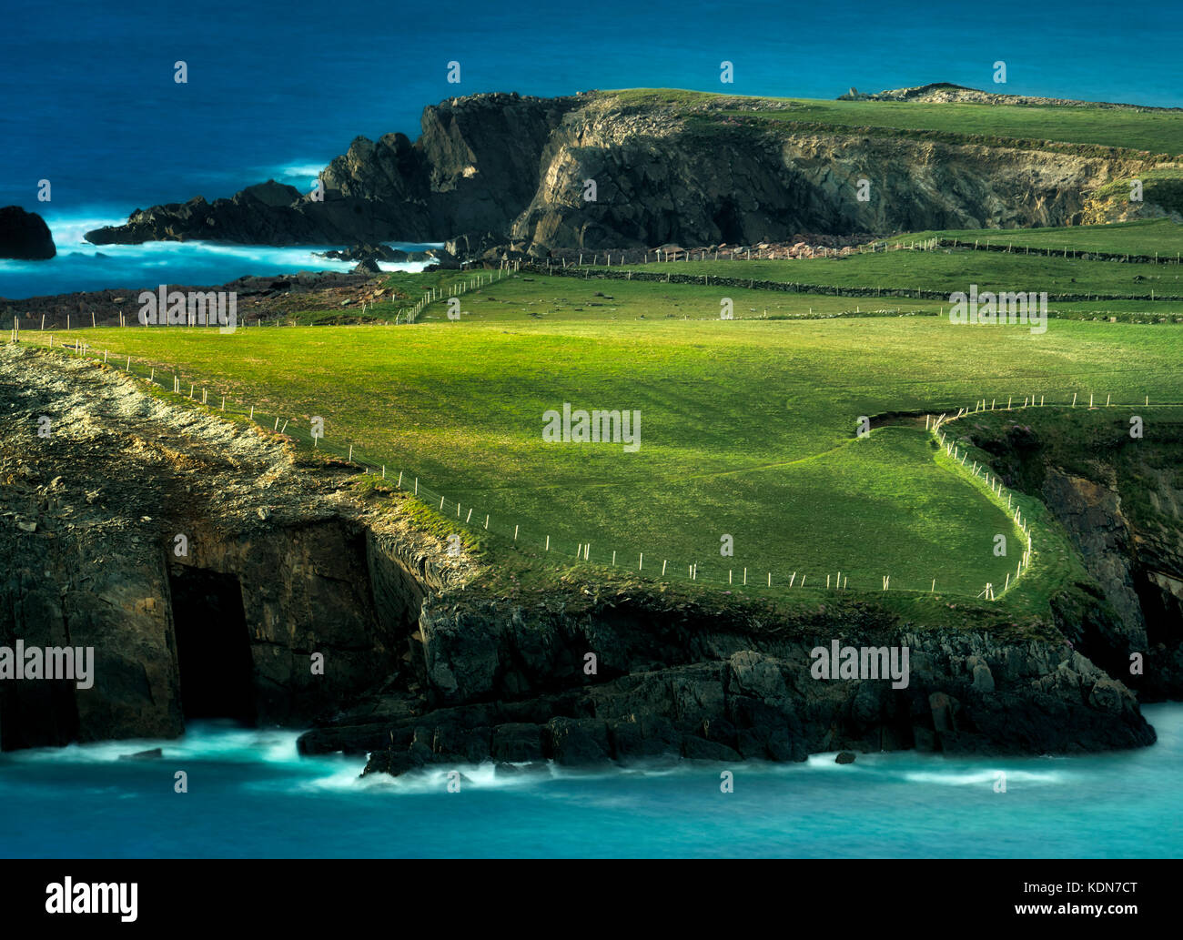 Fenceline and pasture at Clogher Head. County Kerry. Ireland Stock Photo