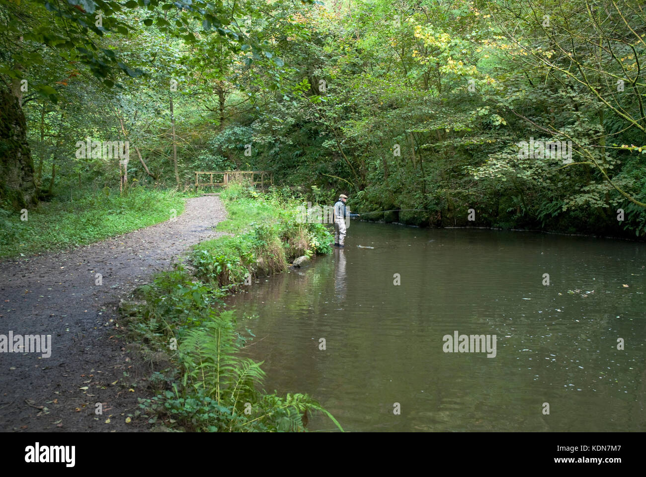 Man fishing in River Dove in Beresford Dale near Hartington in the Peak