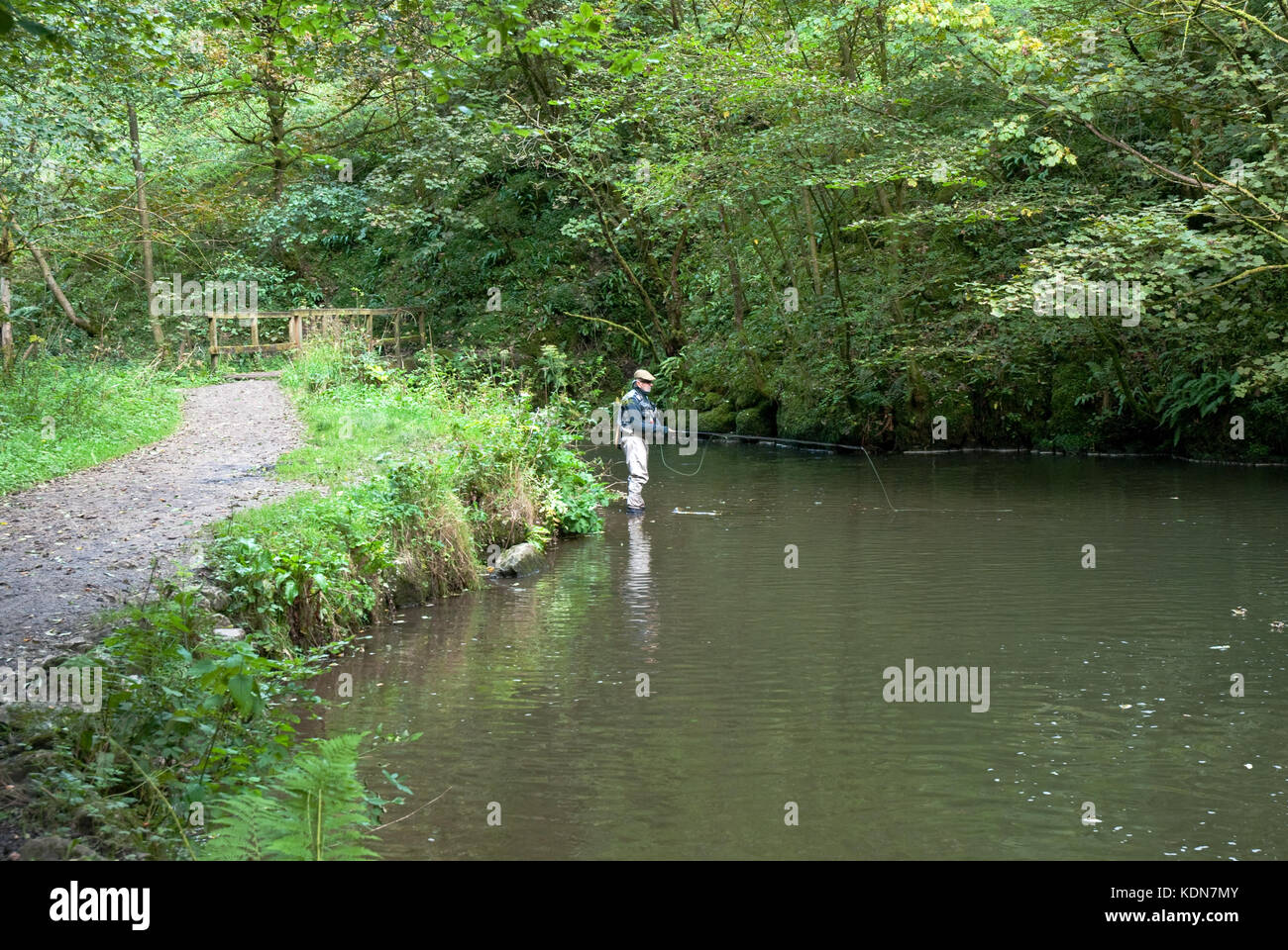 Man fishing in River Dove in Beresford Dale near Hartington in the Peak