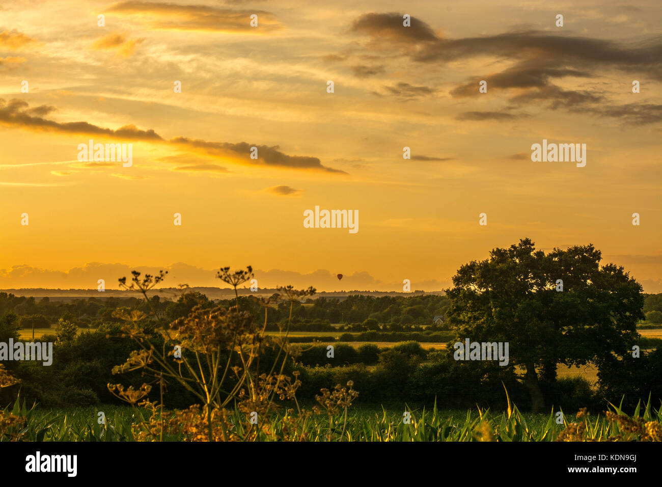 Golden hour landscape view hi-res stock photography and images - Alamy