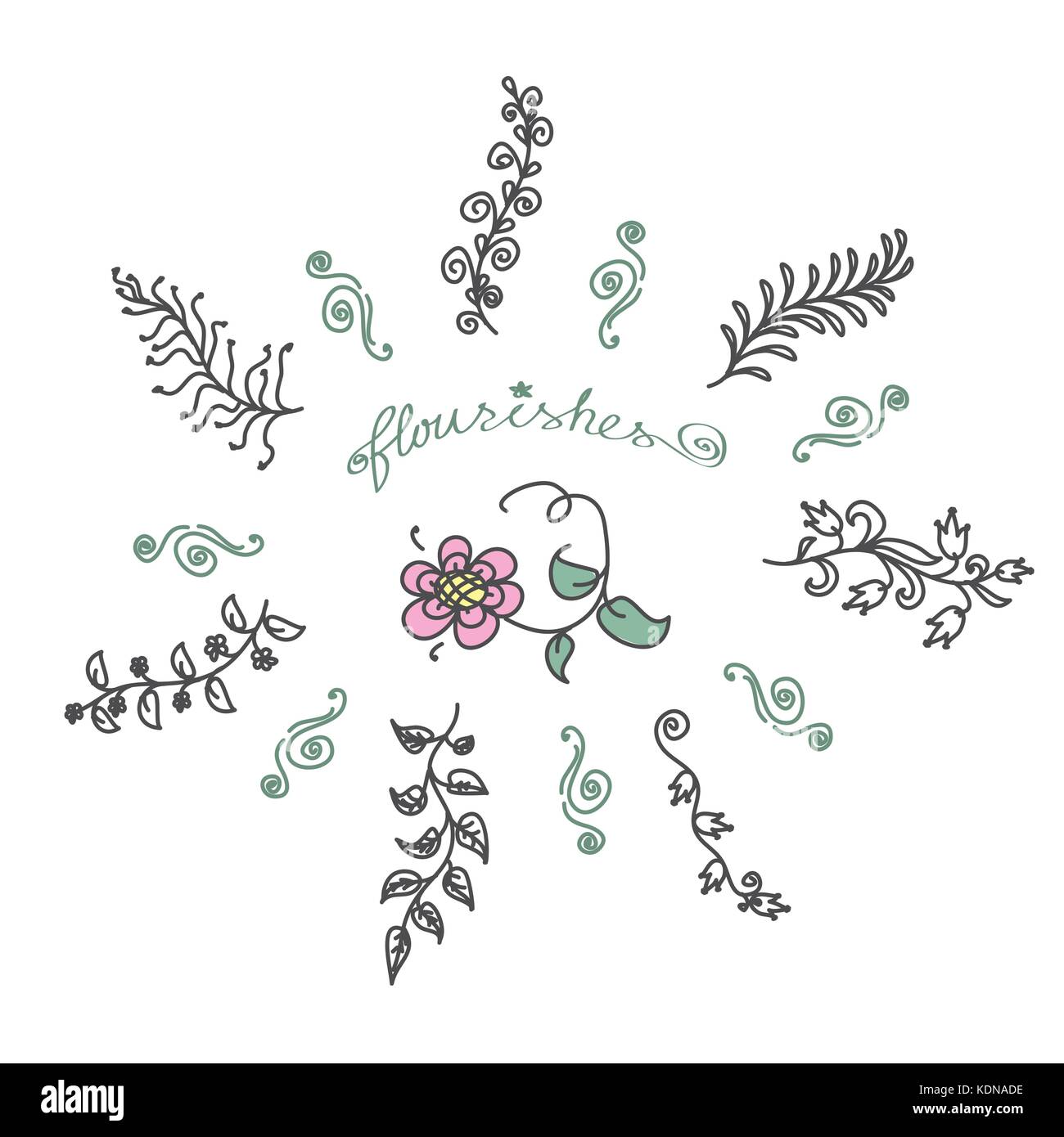 Vintage set of hand drawn rustic laurels. Floral vector graphic. Nature ...