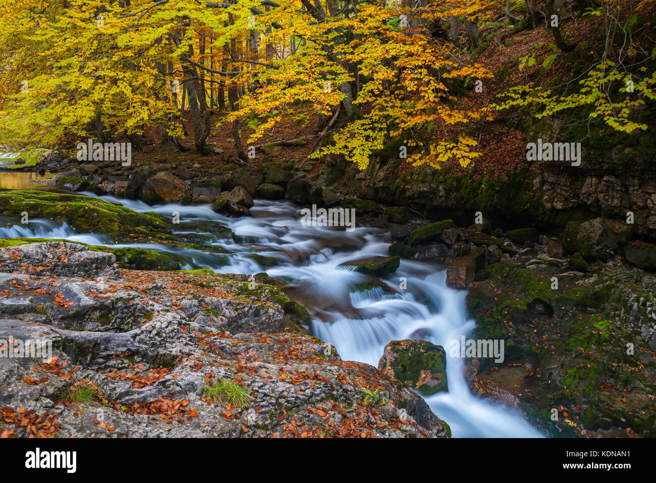 Small corner on Arazas river during in Autumn at National Park of Ordesa Stock Photo