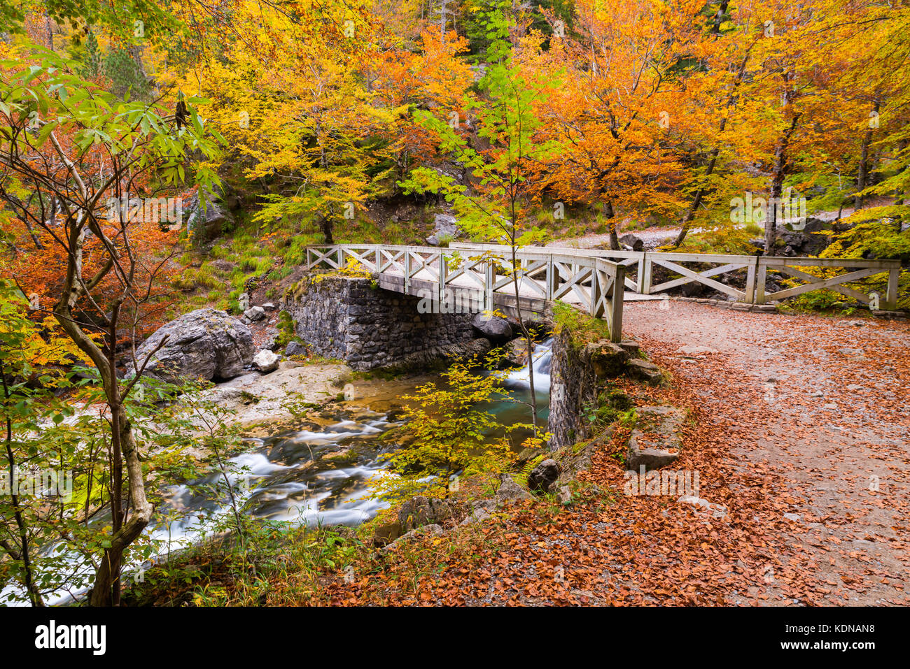 Bridge over Arazas river on autumn at Ordesa National Park Stock Photo