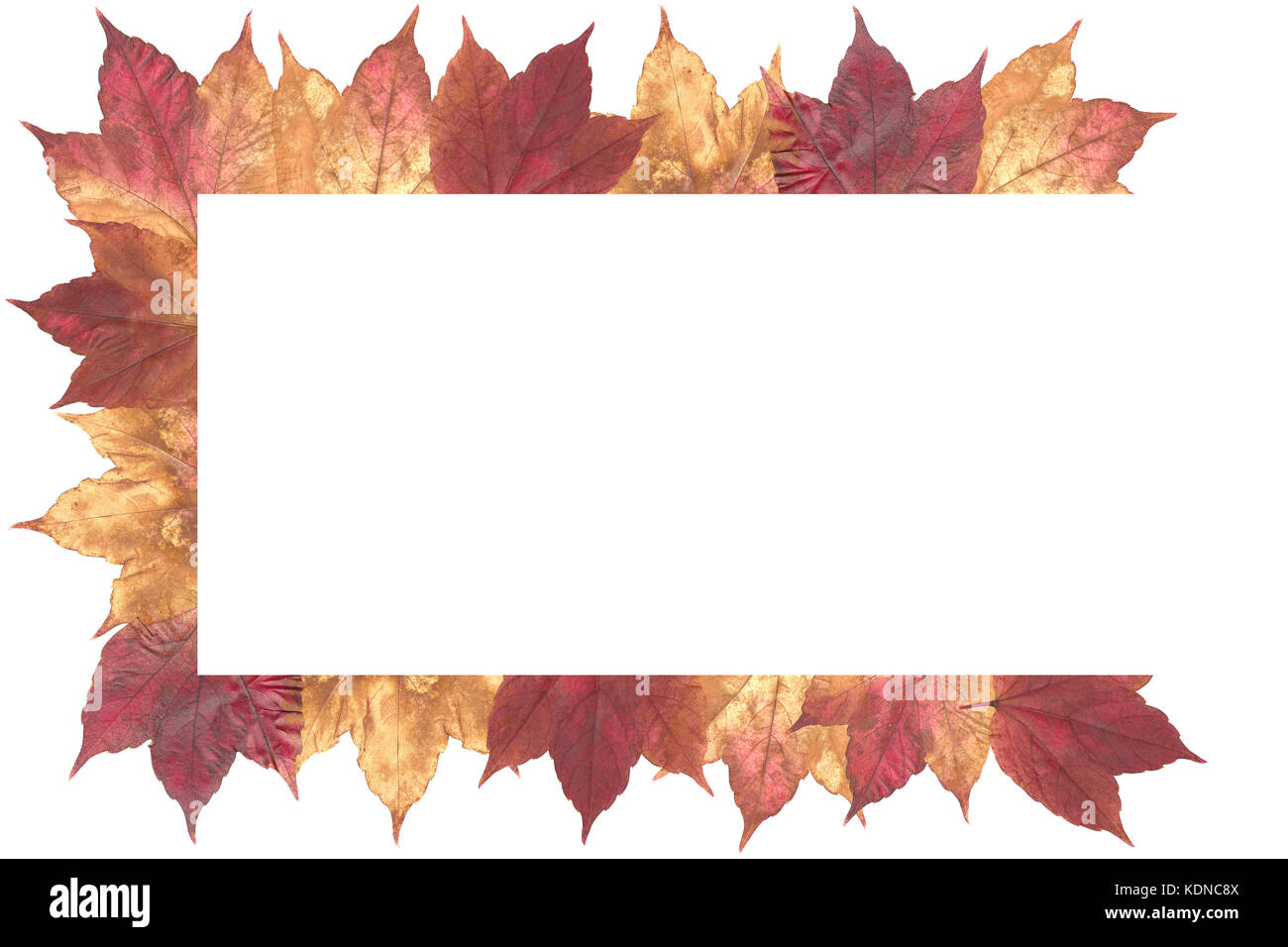 Autumn Leaves Isolated on white background Stock Photo - Alamy