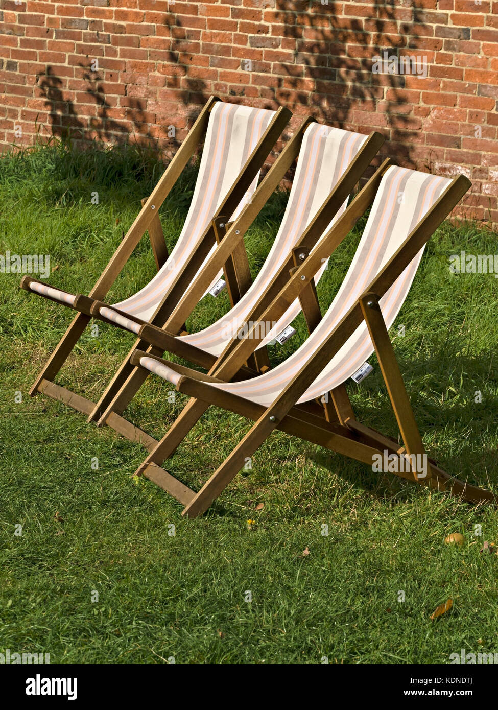 Three sunlit wooden and canvas deckchairs on green grassy garden lawn, Summer, UK Stock Photo