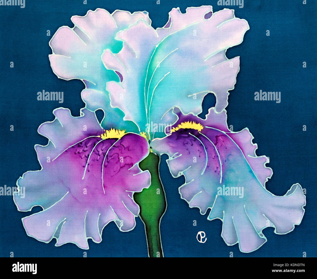 Photograph of silk painting of an ice blue and mauve bearded iris flower against plain background using steam fixed dyes by Paula Chapman. Stock Photo