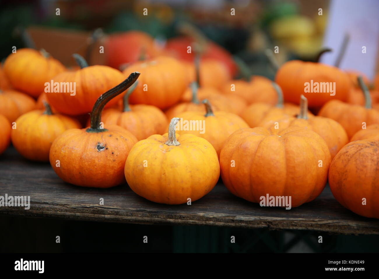 Pumpkins and squash on display at a farmers market Stock Photo - Alamy