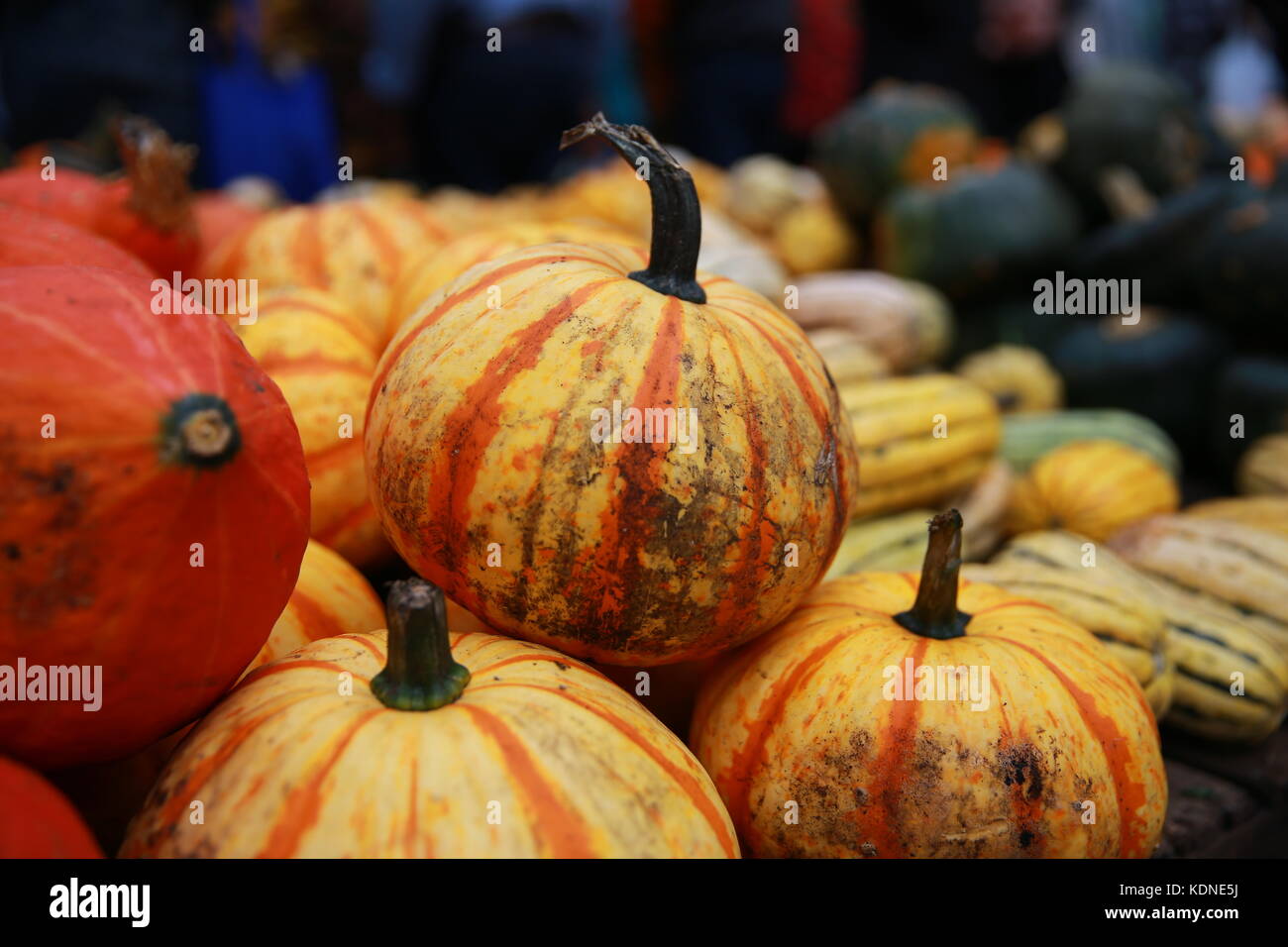 Pumpkins on display at a farmers market Stock Photo - Alamy