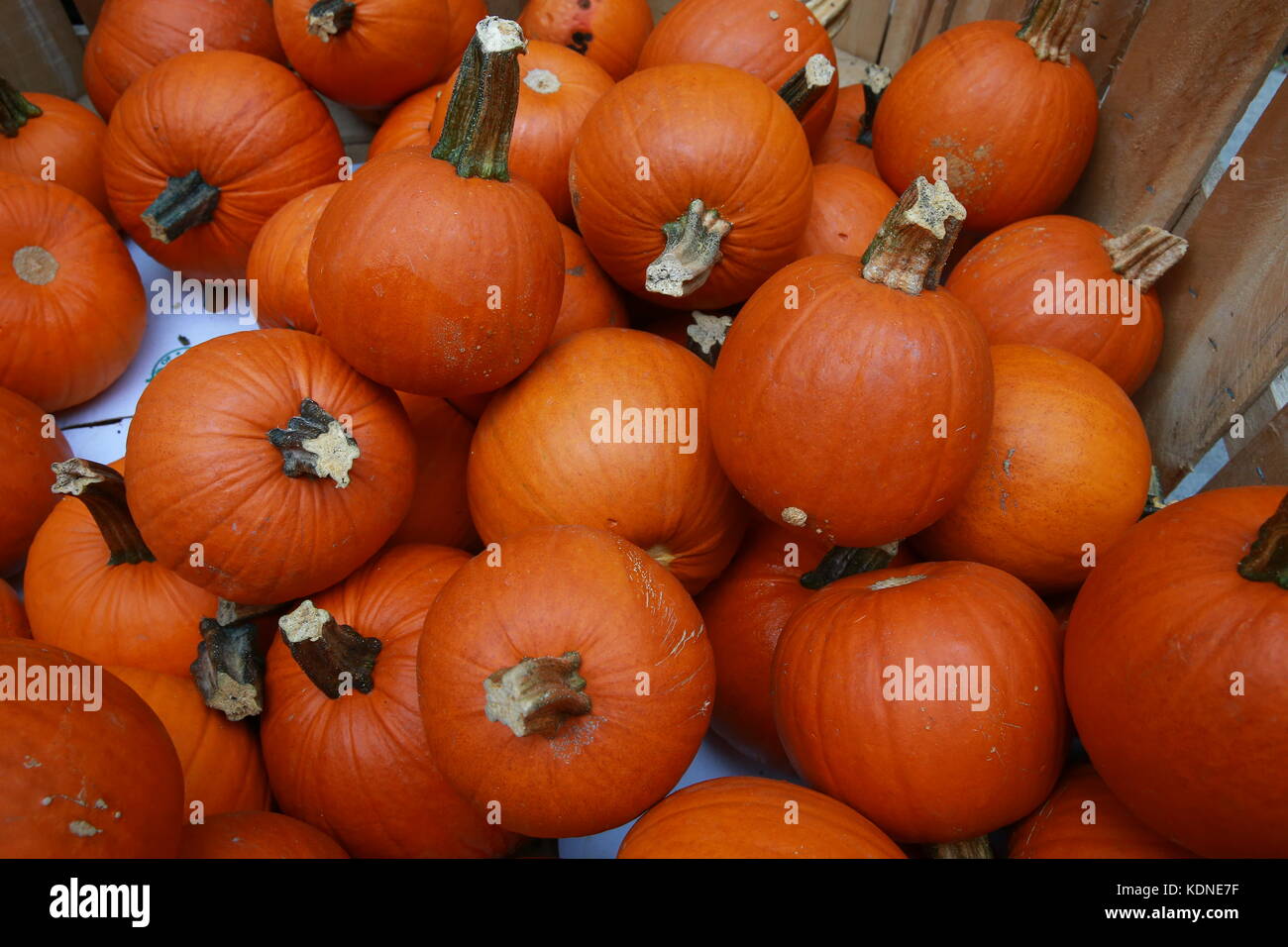 Pumpkins on display at a farmers market Stock Photo - Alamy