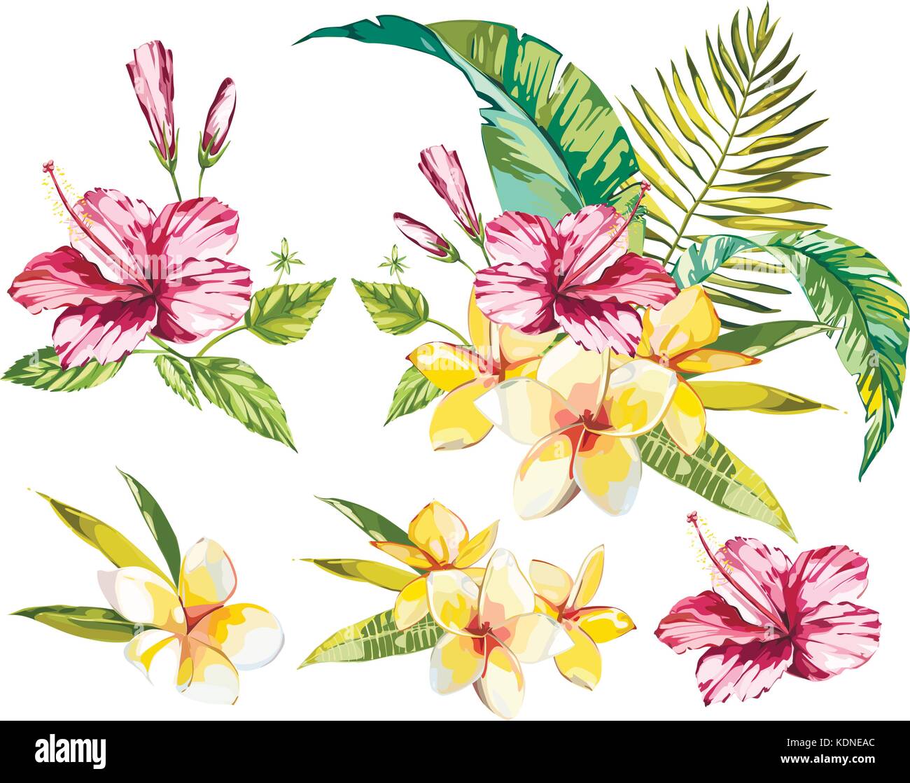 Big Set Watercolor collection with tropical plants elements - leaf, flowers. Botanical illustration isolated on white background. Floral nature. Stock Vector