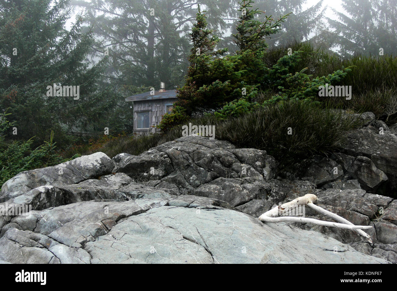 Cabin In The Mist Sooke Bc Canada Stock Photo 163356767 Alamy