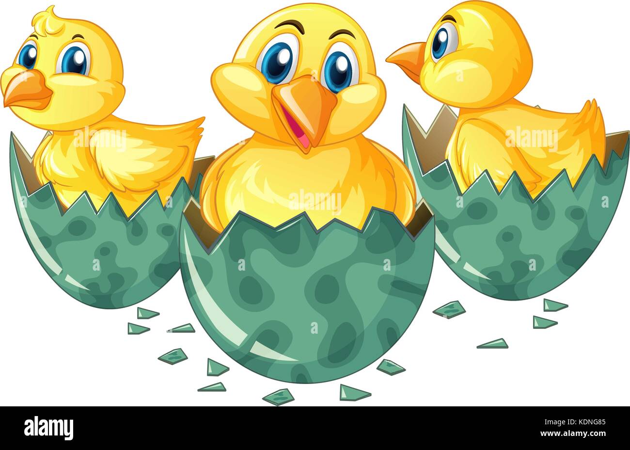 Three little chicks hatching eggs illustration Stock Vector Image & Art ...