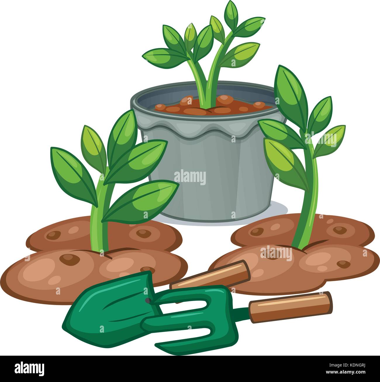 Plants and gardening equipments illustration Stock Vector