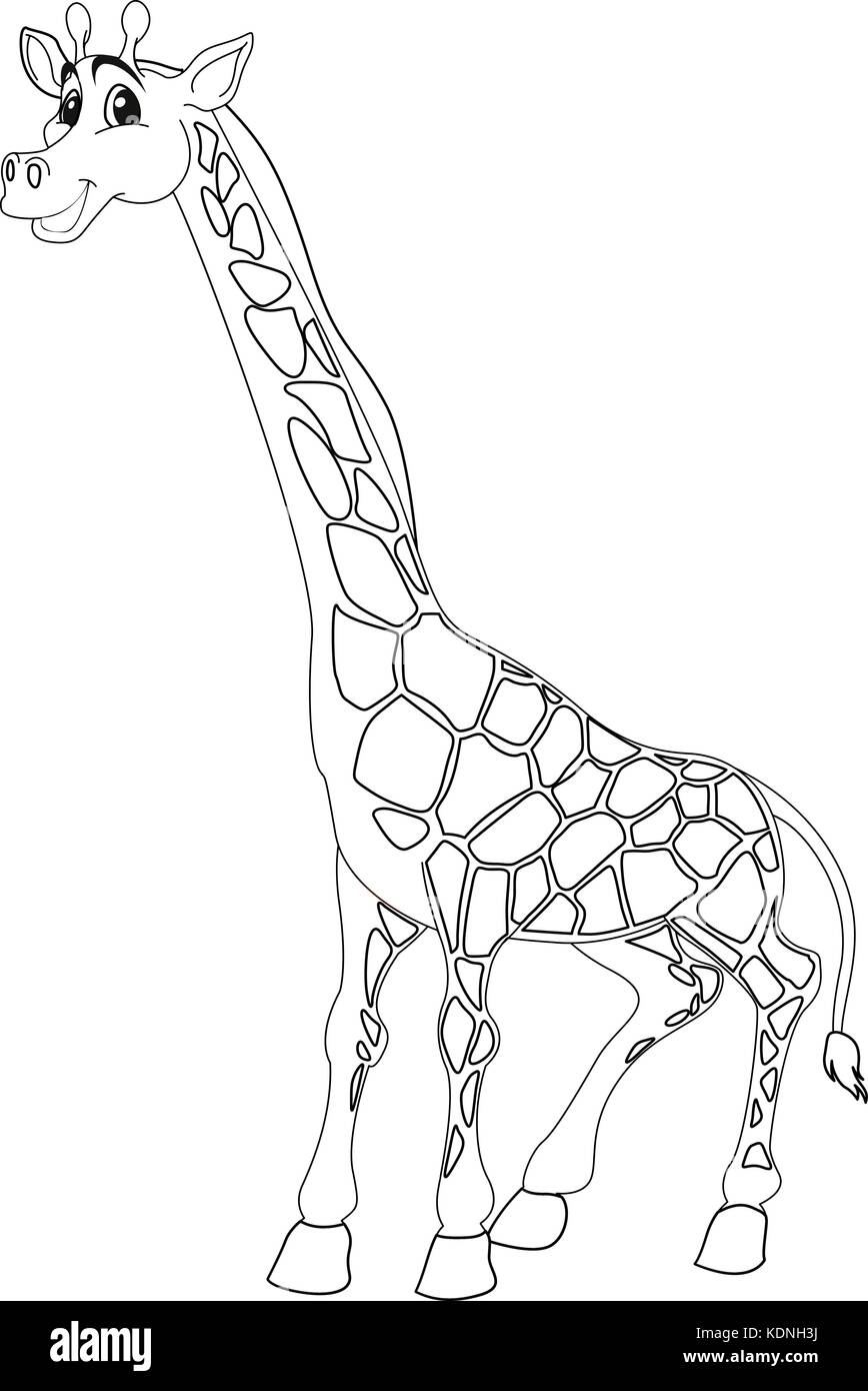 Animal doodle outline for cute giraffe illustration Stock Vector Image &  Art - Alamy