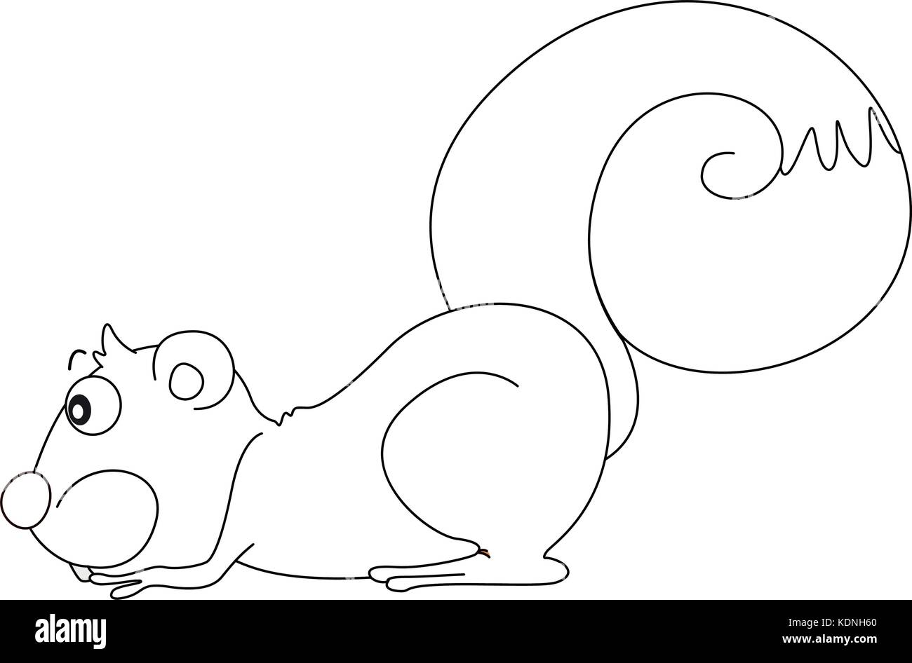 Animal outline for squirrel illustration Stock Vector Image & Art - Alamy