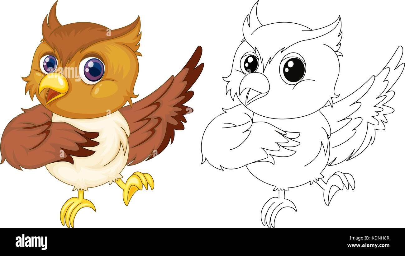 Animal outline for cute owl illustration Stock Vector Image & Art - Alamy
