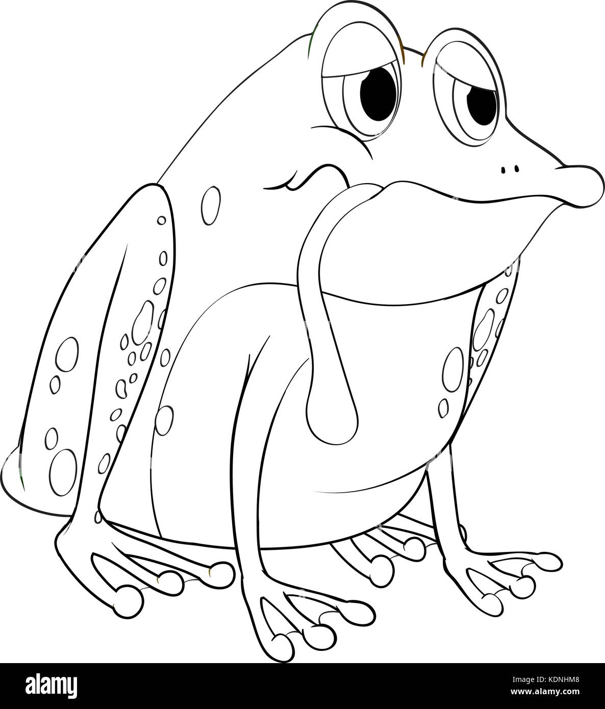 Animal outline for frog illustration Stock Vector Image &amp; Art - Alamy
