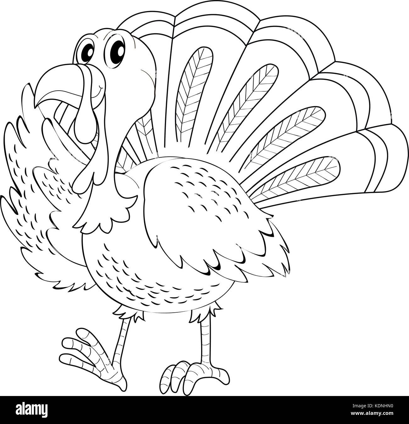 Doodle animal for turkey illustration Stock Vector Image & Art - Alamy