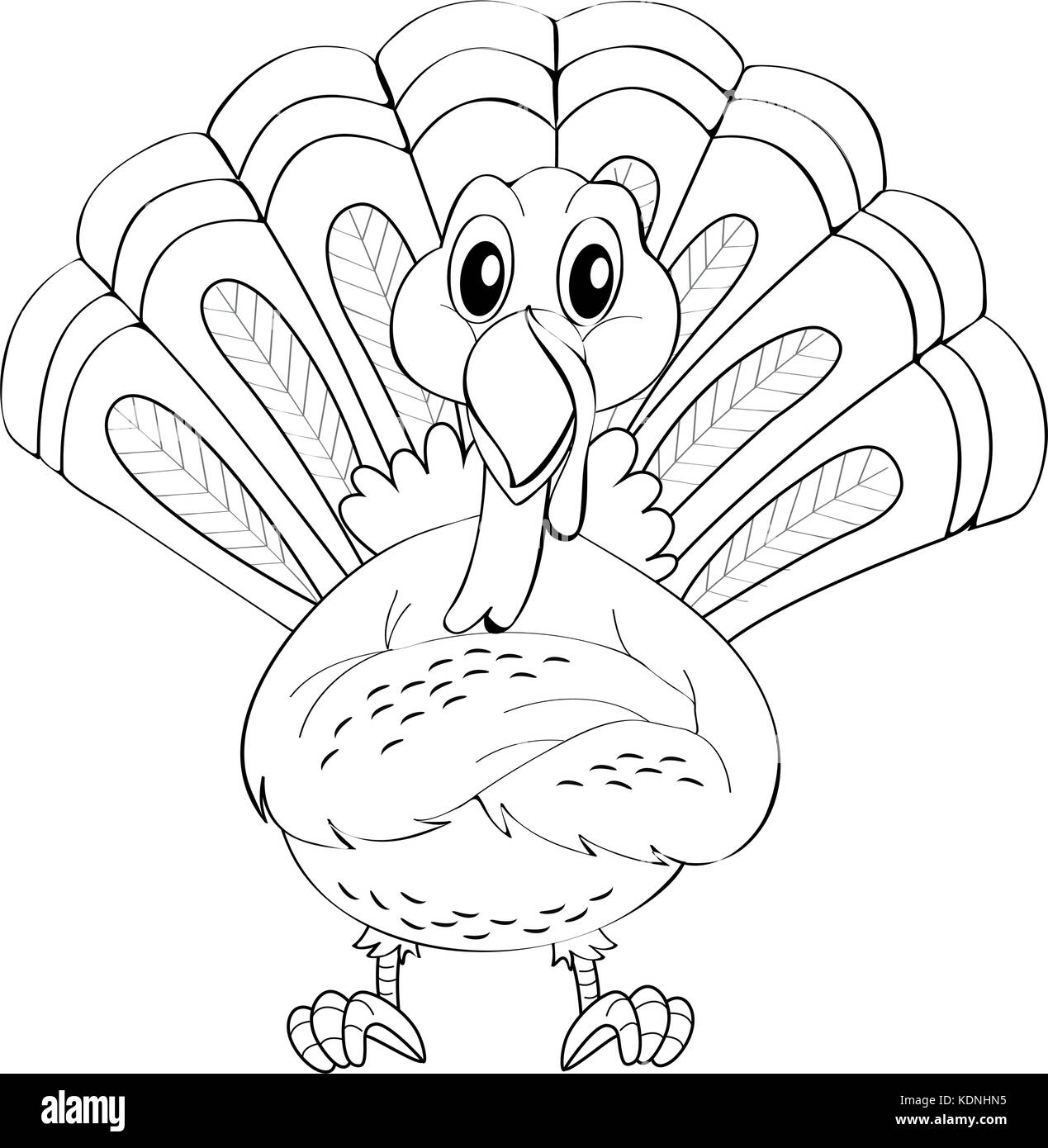 Animal doodle for wild turkey illustration Stock Vector