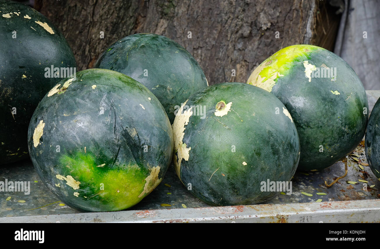 Closeup of watermelon for sale at market in Blue Bay, Mauritius Stock