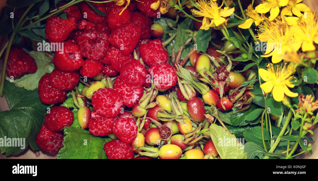 Kenozersky national park hi-res stock photography and images - Alamy