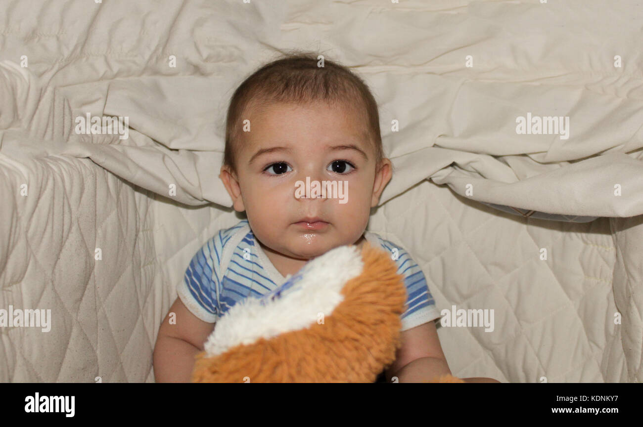 five months old baby boy in cot looking at the camera Stock Photo Alamy