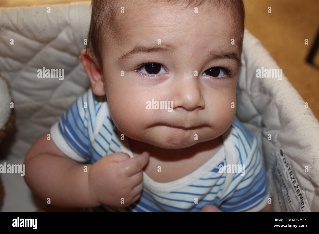 five months old baby boy in the cot Stock Photo Alamy