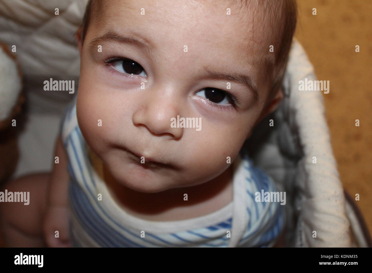 five months old baby boy in the cot Stock Photo Alamy