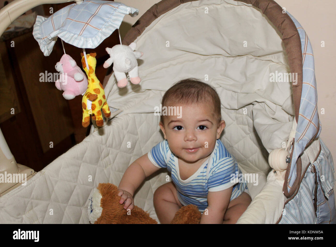 five months old baby boy in the cot Stock Photo Alamy