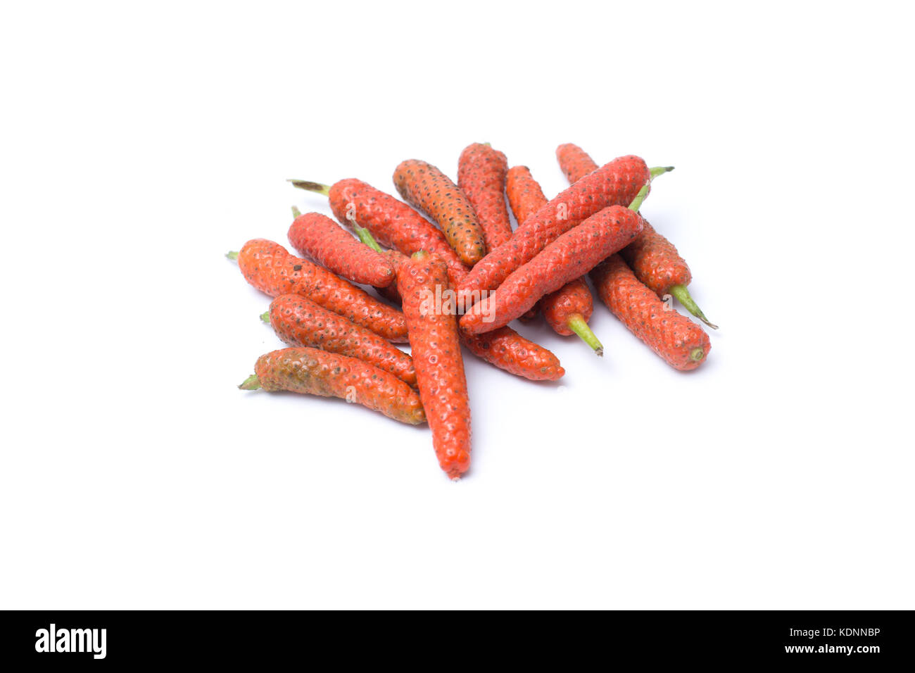 Long Pepper, Indian long pepper, Javanese long pepper.Scientific name