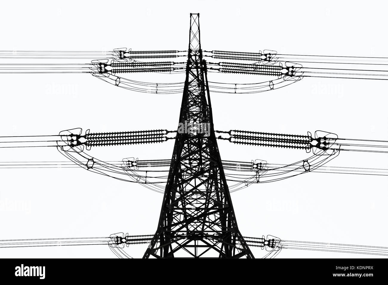 overhead power line isolated on white background Stock Photo Alamy