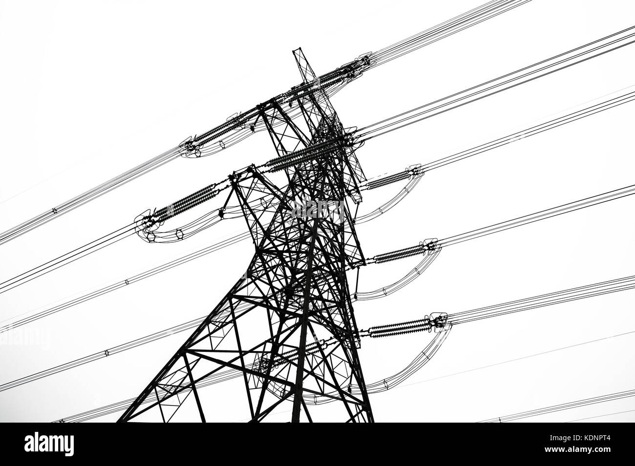 overhead power line isolated on white background Stock Photo Alamy