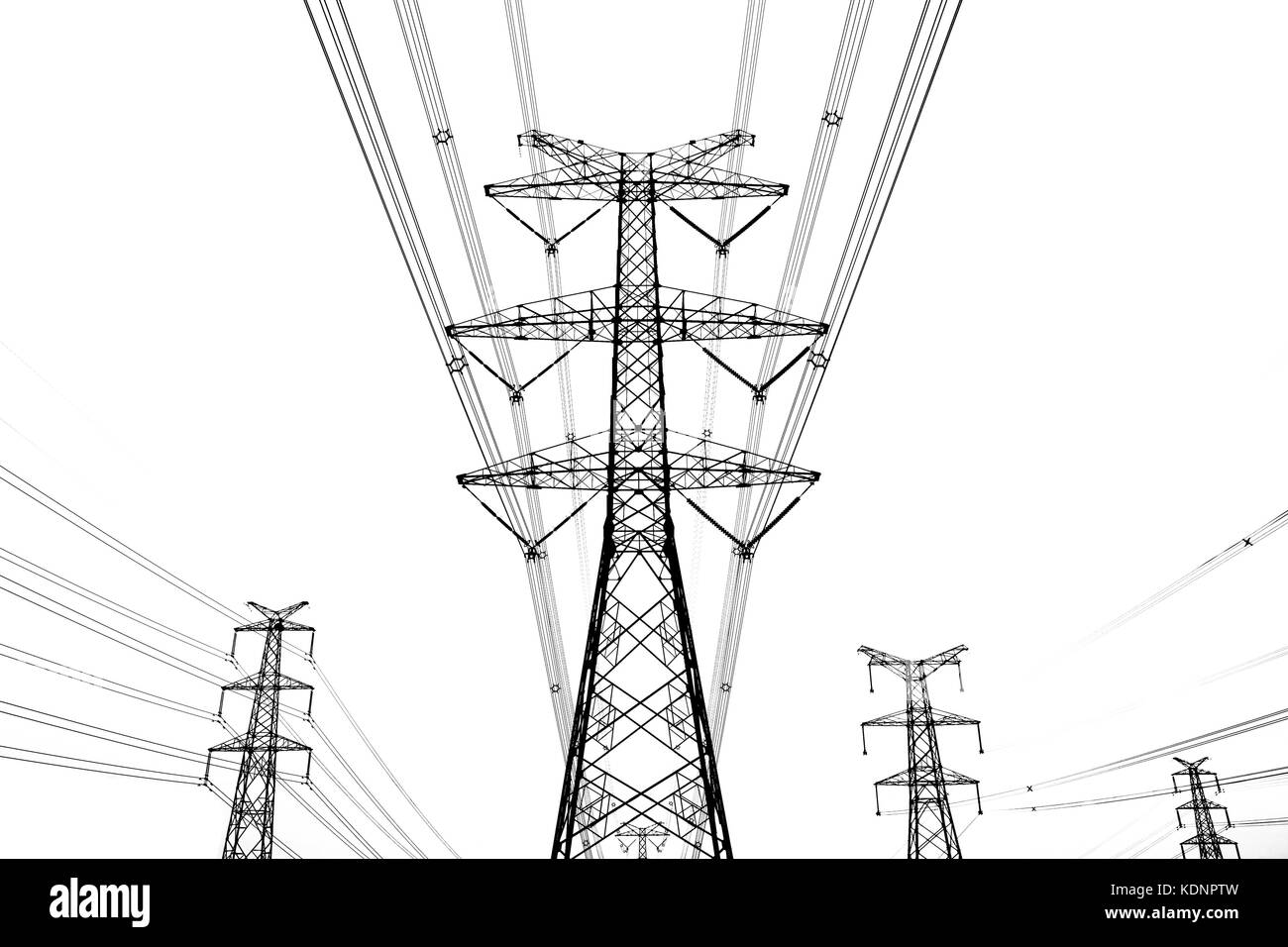power line on a white background Stock Photo Alamy