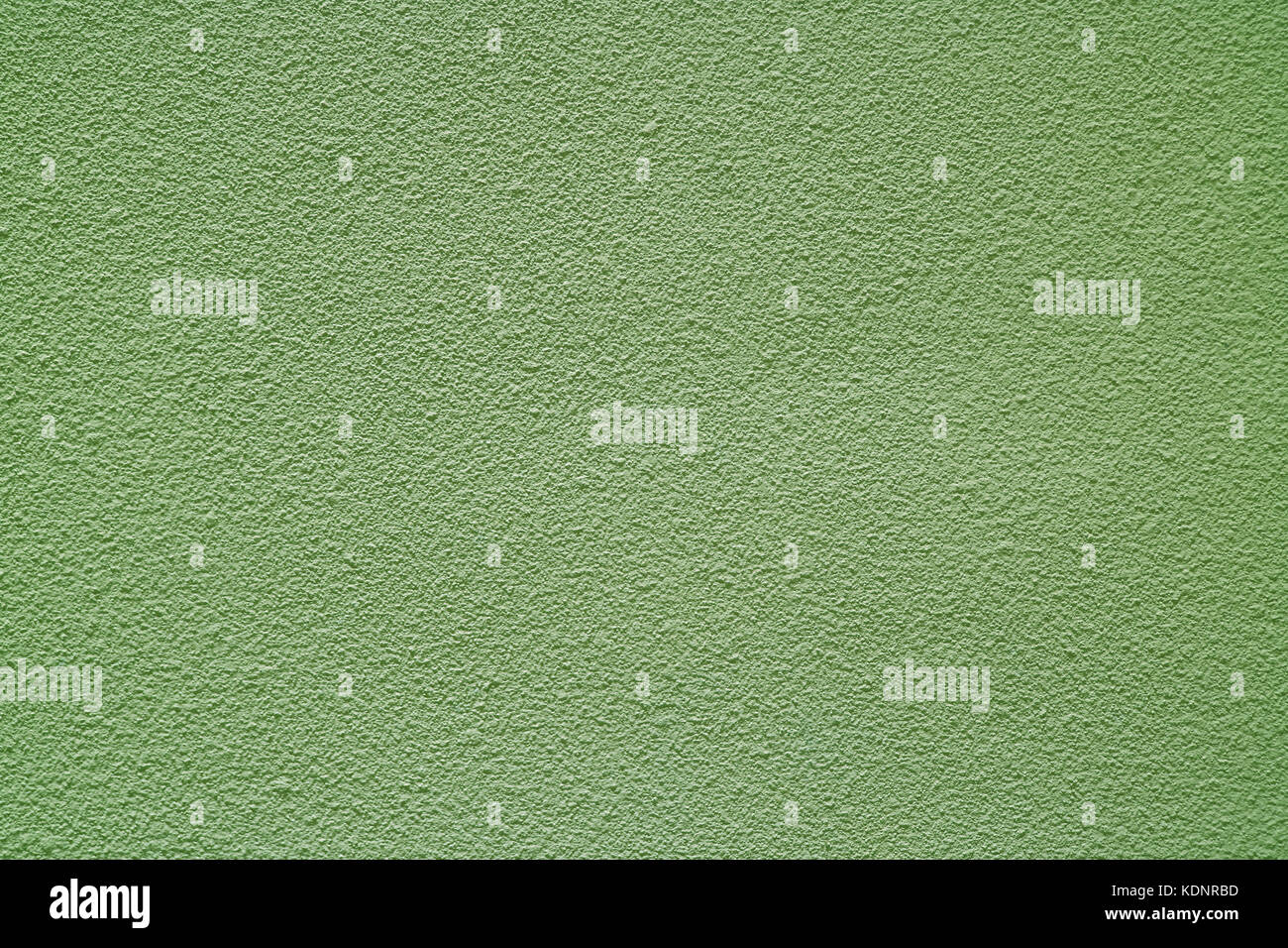 Light Olive Green Colored Rough Concrete Wall, Front View for
