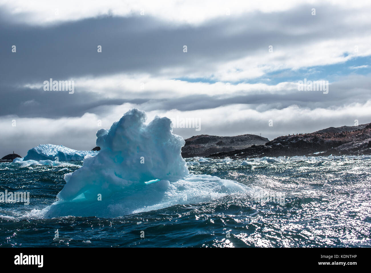 Iceberg at Hope Bay, Trinity Peninsula, Antarctic Peninsula Stock Photo