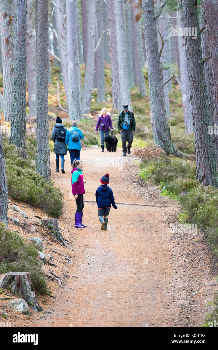 People walking along the footpath the surrounds Loch an Eilein in the Rothiemurchus Forest on the Rothiemurchus Estate in Autumn, Scotland Stock Photo