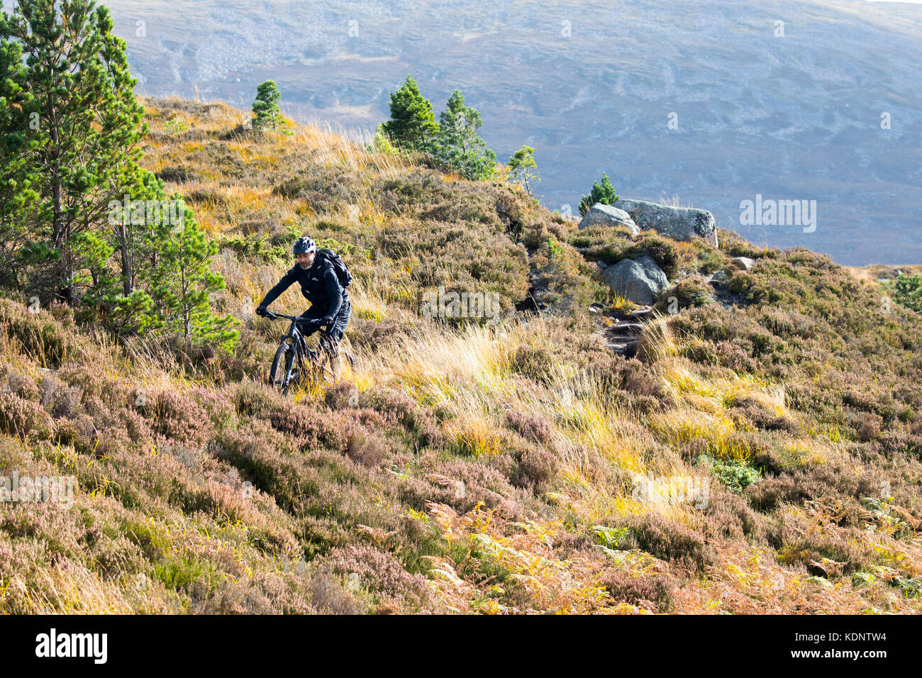 A lone mountain biker using the trail through the Lairig Ghru mountain pass from Braemar to Rothiemurchus Estate through the Cairngorms, Scotland, UK Stock Photo