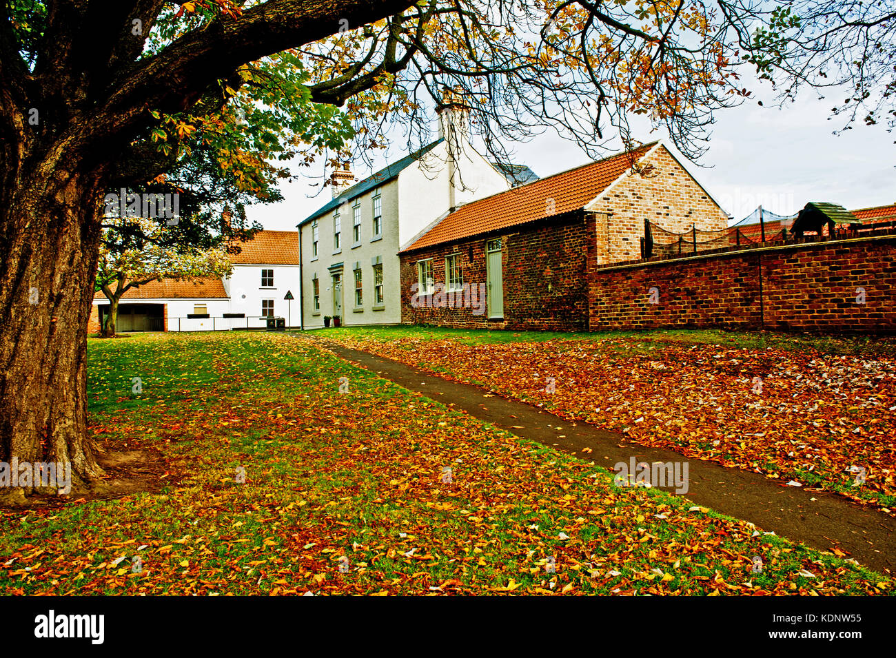 Autumn on the Green, Wolviston near Billingham on Tees Stock Photo